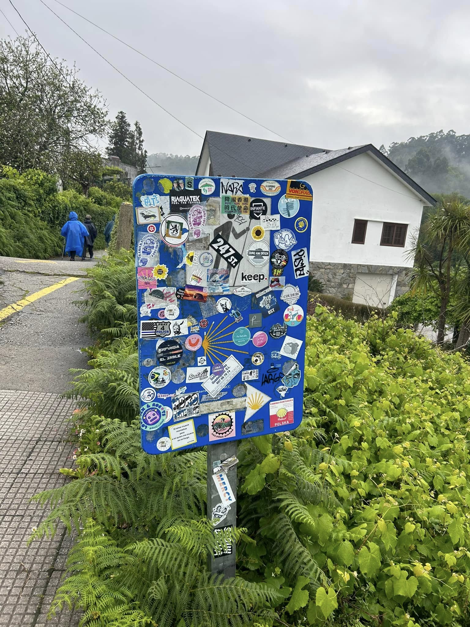 10. den na camino de Santiago